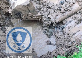 津市水管漏水检测公司5